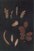 Paul Klee Herbarium painting